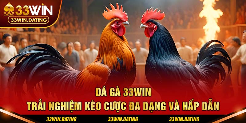 Đá gà 33WIN - Trải nghiệm kèo cược đa dạng và hấp dẫn