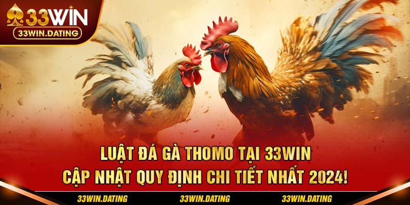 Luật đá gà thomo tại 33win - Cập nhật quy định chi tiết nhất 2024!